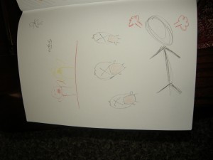 Picture 006